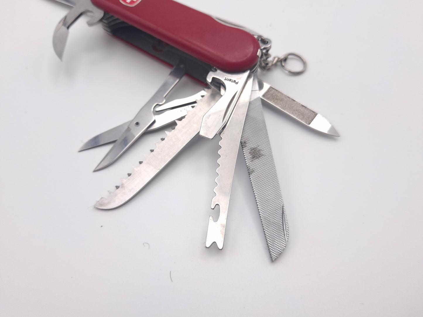 Wenger Champ Original – Grade B