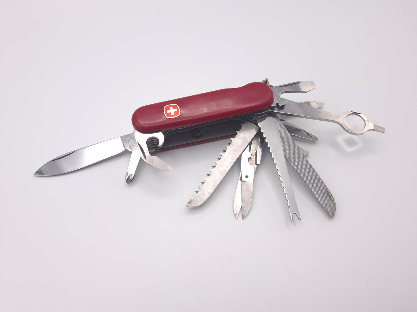 Wenger Champ – Grade B