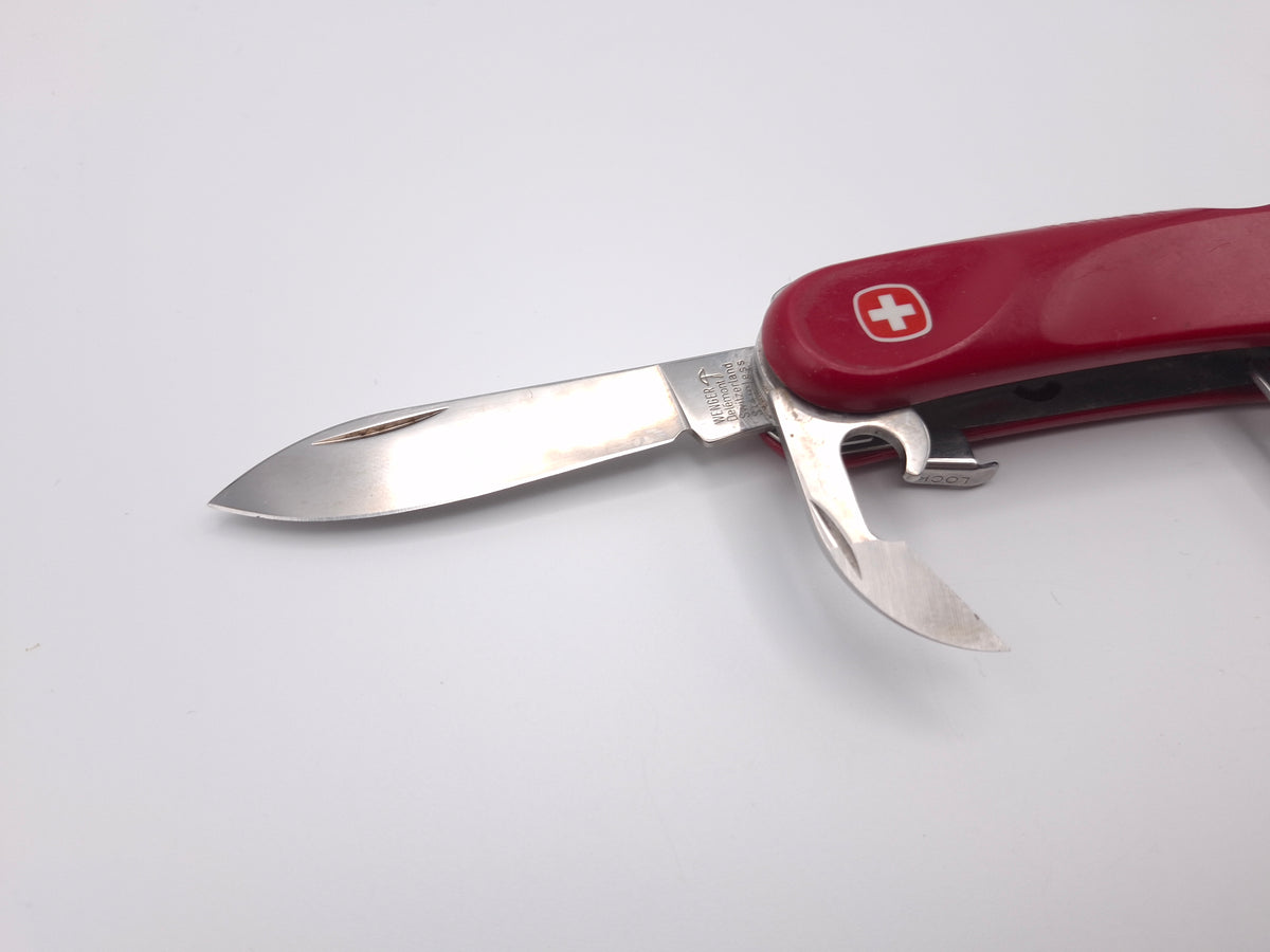Wenger Evolution 17 – Qualität B