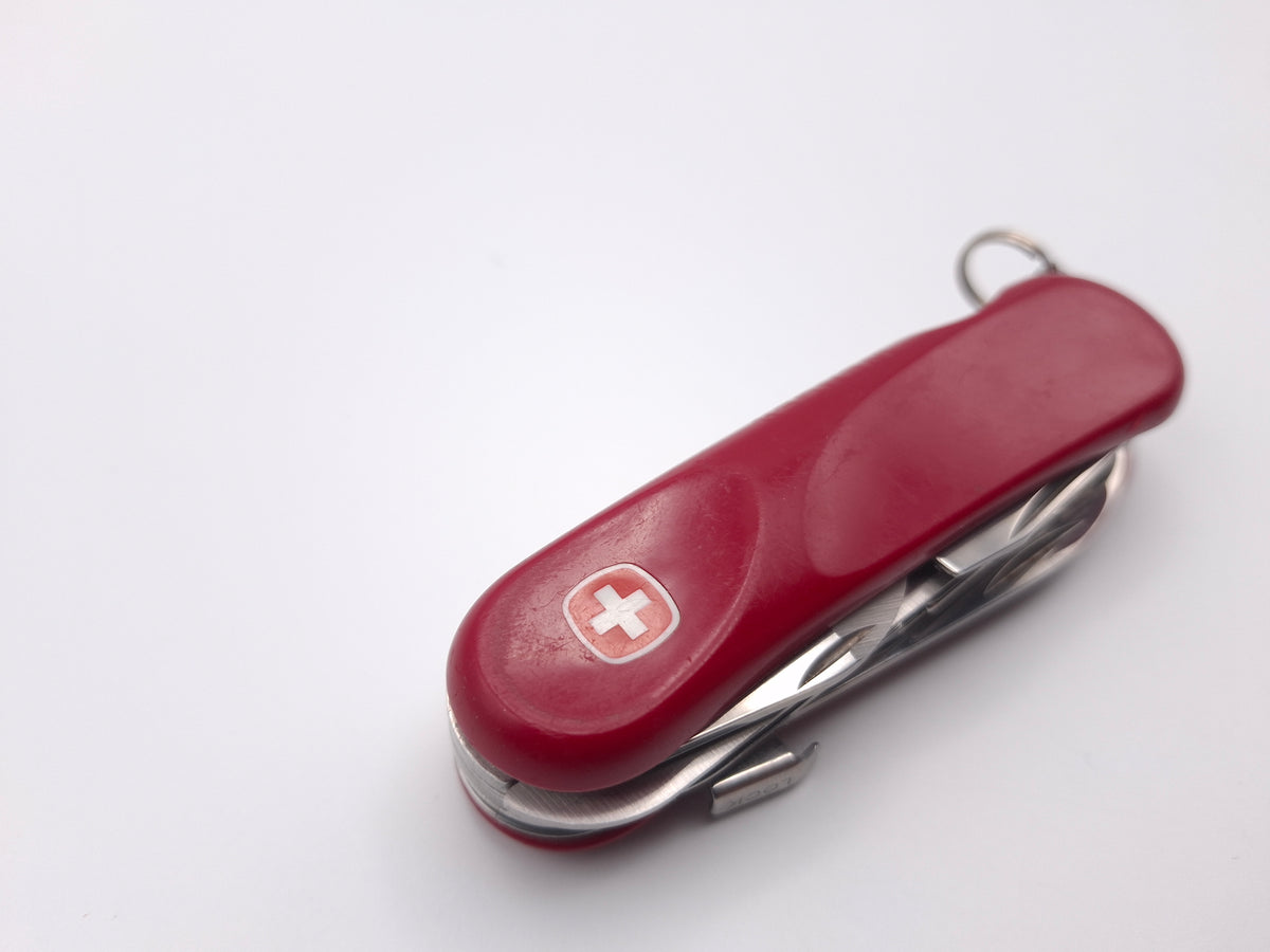Wenger Evolution 17 – Qualität B