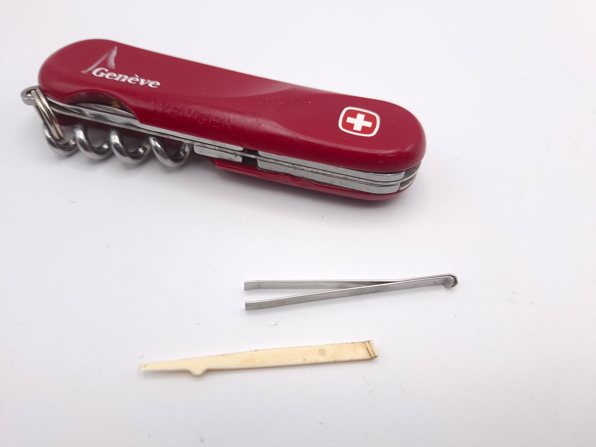 Wenger Evolution 10 Édition Genève – Grade C