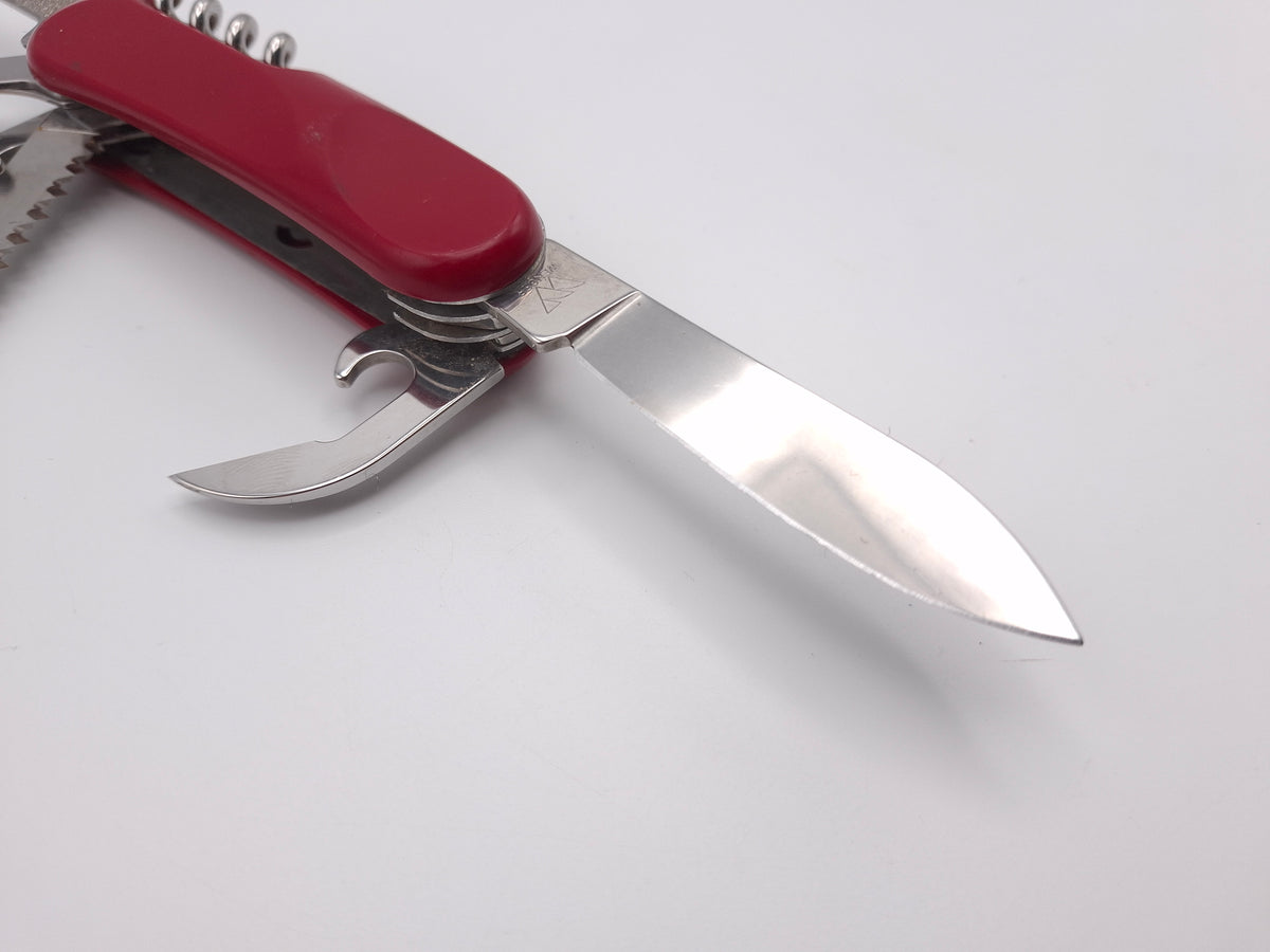 Wenger Evolution S17 - Zustand B