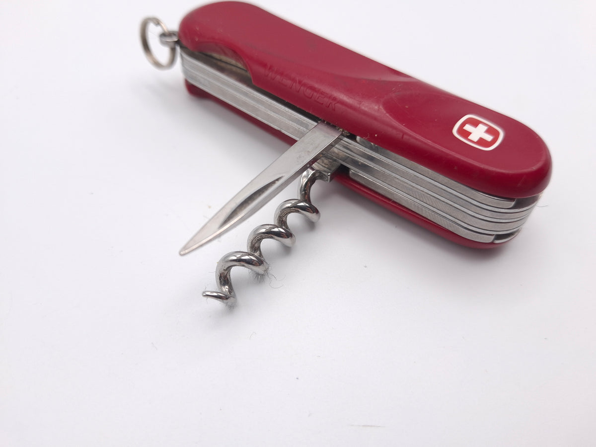 Wenger Evolution S17 - Zustand B