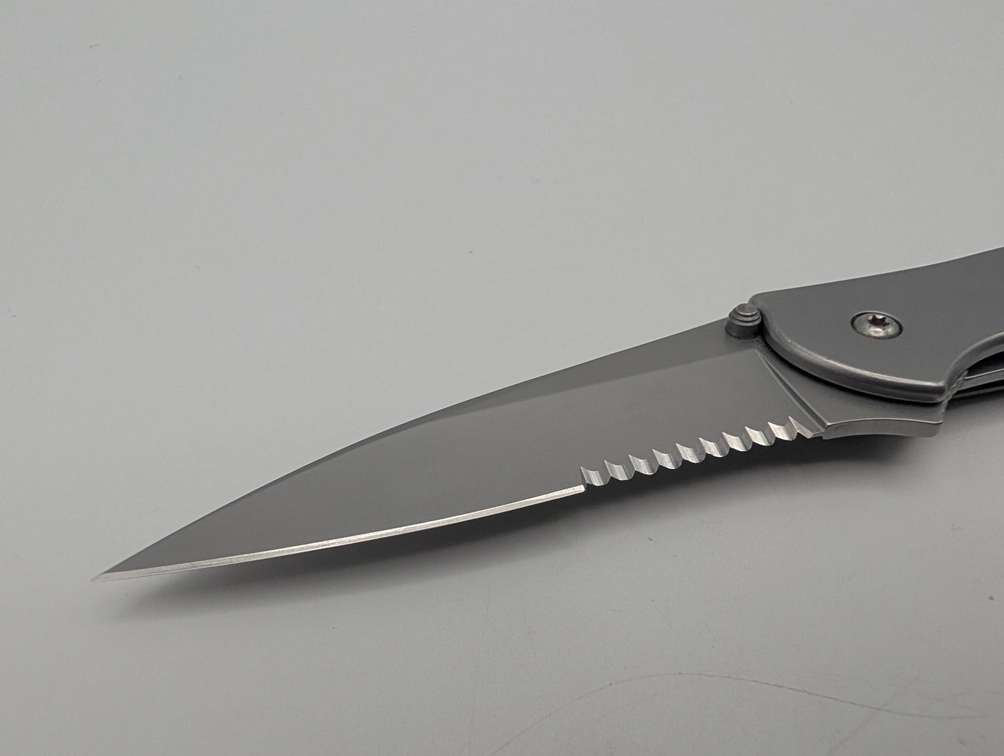 Kershaw Leek 1660ST RVS – Grade B